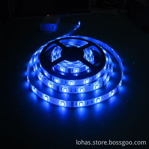Flexible LED Strips, SMD3014, White, 10-12lm/LED, 60-LEDs/m, Stable Performance,insulation